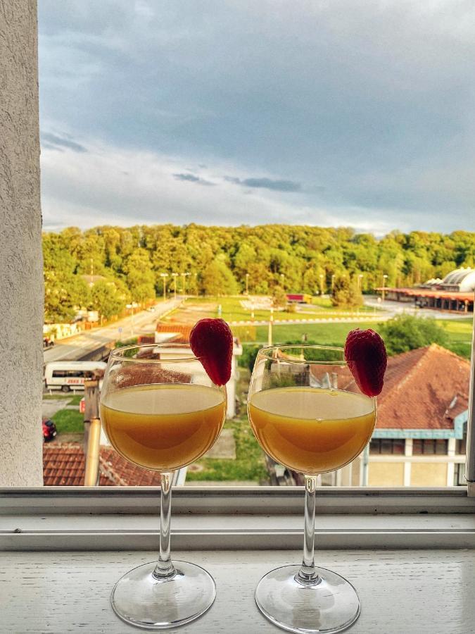 Apartmani Banja SPA Vrnjacka Banja Bagian luar foto